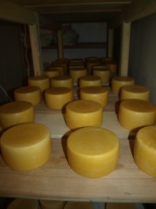 Vrhunski lički sir